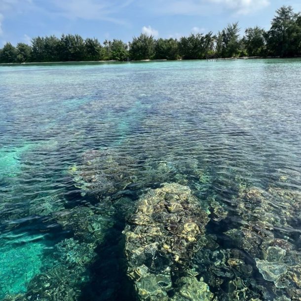 Tips Liburan Karimun Jawa Bagi Pemula