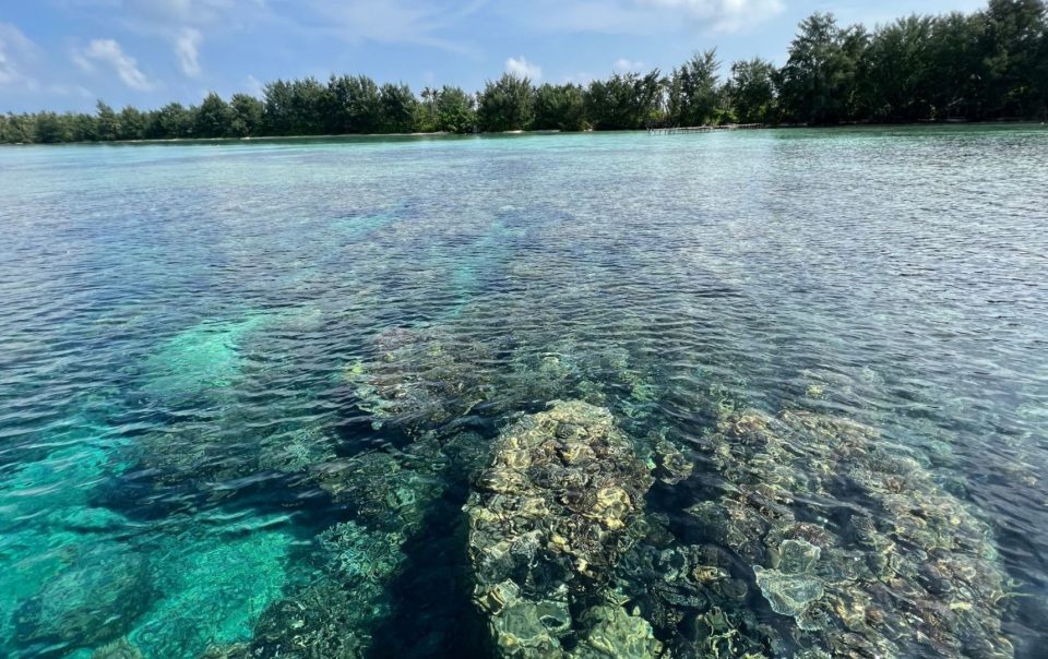Tips Liburan Karimun Jawa Bagi Pemula